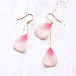 Cherry Blossom Petal Earrings,asymmetry [Pierced or Clip on] 第2張的照片