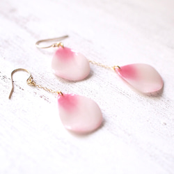 Cherry Blossom Petal Earrings,asymmetry [Pierced or Clip on] 第5張的照片