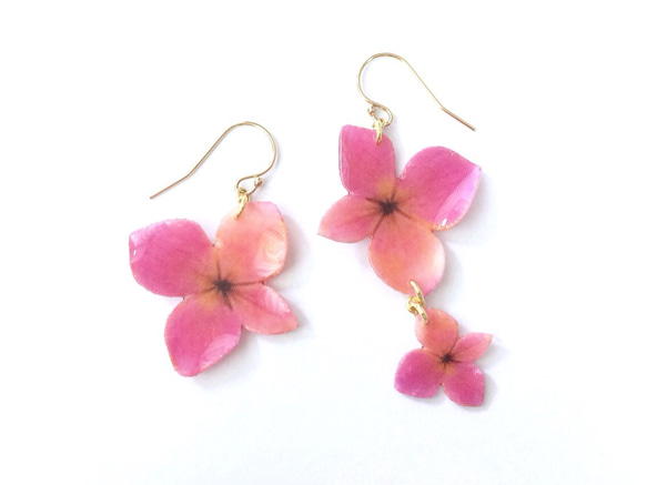 Sunset Pink Hydrangea Earrings [Pierced or Clip-on] 第2張的照片