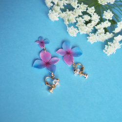 Blue-purple Hydrangea Earrings [Pierced or Clip-on] 第3張的照片