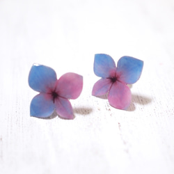 Blue-purple Hydrangea Earrings With Pearl/Pierced or Clip-on 第3張的照片