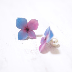 Blue-purple Hydrangea Earrings With Pearl/Pierced or Clip-on 第4張的照片