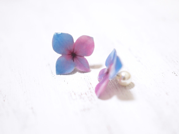 Blue-purple Hydrangea Earrings With Pearl/Pierced or Clip-on 第4張的照片