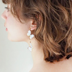 泛白蝴蝶 耳環/耳夾式耳環（不對稱） 第6張的照片