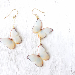 泛白蝴蝶 耳環/耳夾式耳環（不對稱） 第8張的照片