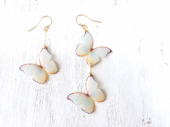 泛白蝴蝶 耳環/耳夾式耳環（不對稱） 第8張的照片