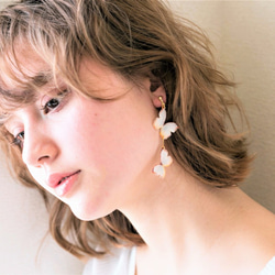 泛白蝴蝶 耳環/耳夾式耳環（不對稱） 第4張的照片