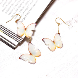 泛白蝴蝶 耳環/耳夾式耳環（不對稱） 第10張的照片