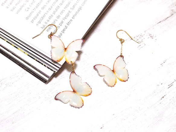 泛白蝴蝶 耳環/耳夾式耳環（不對稱） 第10張的照片