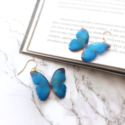 Exotic Blue Butterfly earrings [Pierced or Clip-on] 第1張的照片