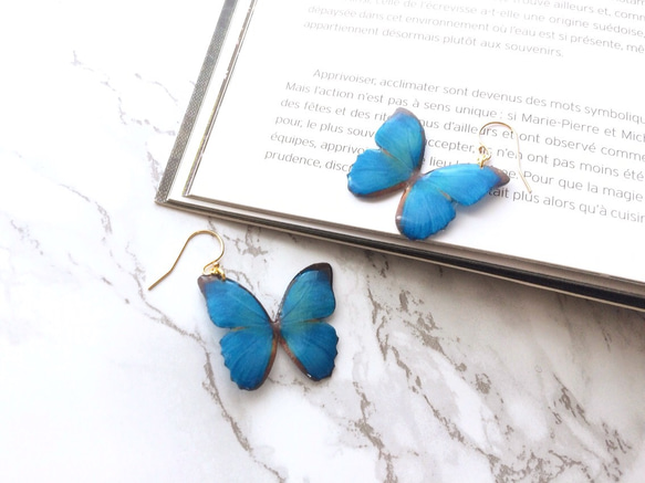 Exotic Blue Butterfly earrings [Pierced or Clip-on] 第1張的照片