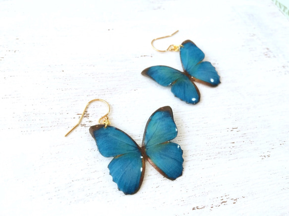 Exotic Blue Butterfly earrings [Pierced or Clip-on] 第3張的照片