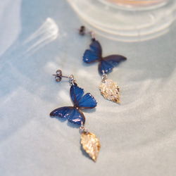 Ocean Blue Butterfly Earrings with leaf [Pierced or Clip-on] 第6張的照片