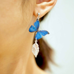 Ocean Blue Butterfly Earrings with leaf [Pierced or Clip-on] 第8張的照片