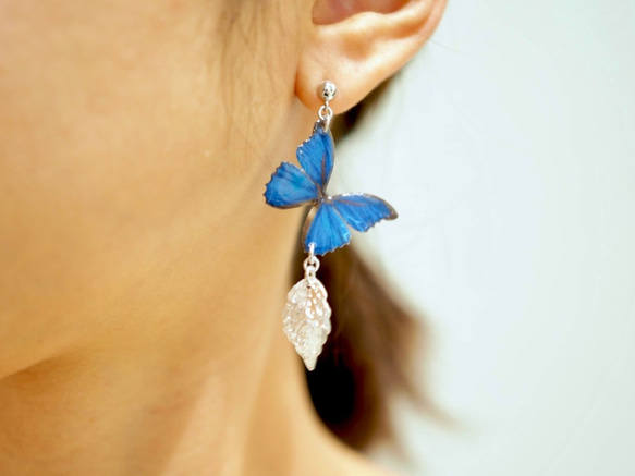 Ocean Blue Butterfly Earrings with leaf [Pierced or Clip-on] 第8張的照片