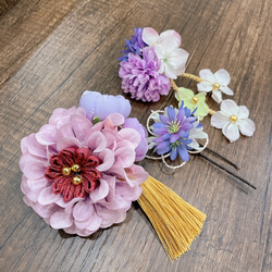 0_1705cd7a809d2effeb8681d0802b