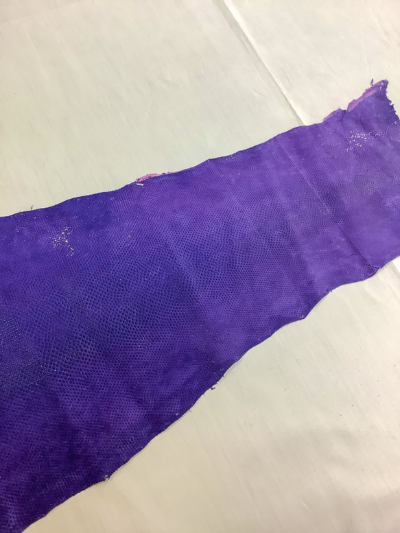 海へび　カロング　エラブ 紫　ツヤなし　汚れあり 4枚目の画像