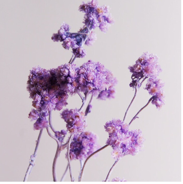 綺麗な紫色のフラワーピアス☆ 3枚目の画像