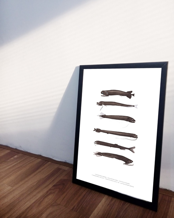 【アートポスター】クジラ　深海魚　魚　インテリアポスター　海　子供　ヴィンテージ　レトロ　ポスター　アート　インテリア　 3枚目の画像