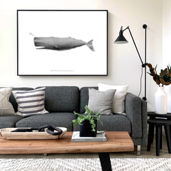 【アートポスター】クジラ　くじら　魚　インテリアポスター　海　子供　ヴィンテージ　レトロ　ポスター　アート　インテリア　 3枚目の画像