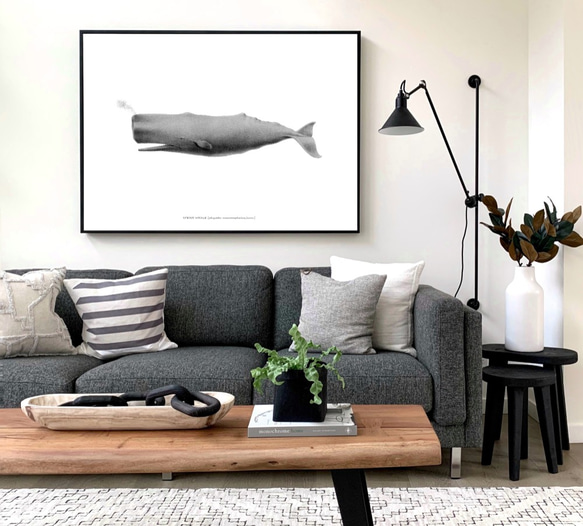 【アートポスター】クジラ　くじら　魚　インテリアポスター　海　子供　ヴィンテージ　レトロ　ポスター　アート　インテリア　 3枚目の画像