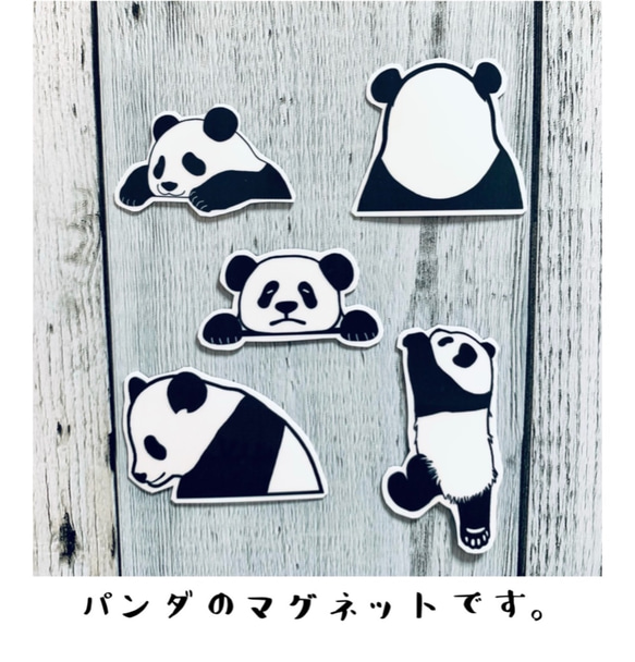 パンダのマグネット5つセット マグネット chanpeko69 通販 12070351