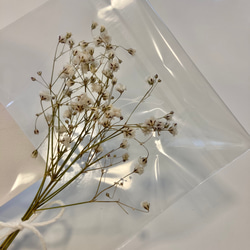 Small dried flower 2枚目の画像