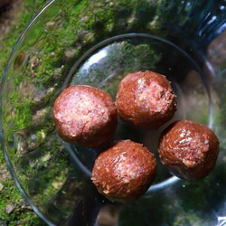 有機ココナッツ木苺ボール 2粒set からだをいたわるお菓子　小麦・乳製品・添加物・白砂糖、不使用です 1枚目の画像