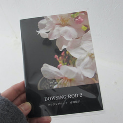 詩集「DOWSING ROD 2」ゾクゾク文庫 1枚目の画像