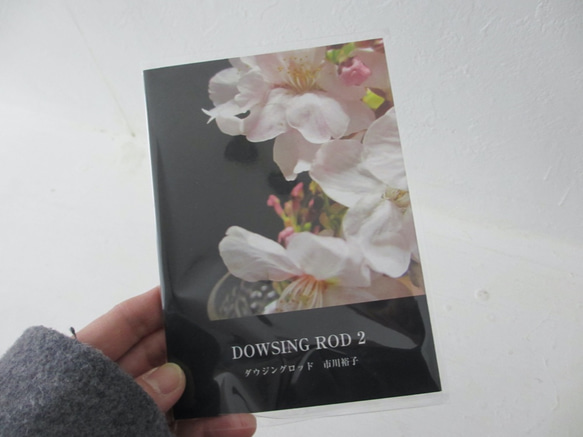 詩集「DOWSING ROD 2」ゾクゾク文庫 1枚目の画像