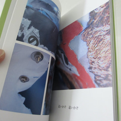 詩集「八角球の海の底 一角獣と片羽の蝶が棲むという」　ゾクゾク文庫 2枚目の画像