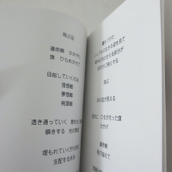 詩集「飛ぶ空」ゾクゾク文庫 6枚目の画像