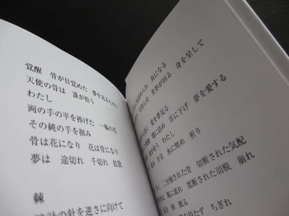 「詩の誕生」ゾクゾク文庫 5枚目の画像