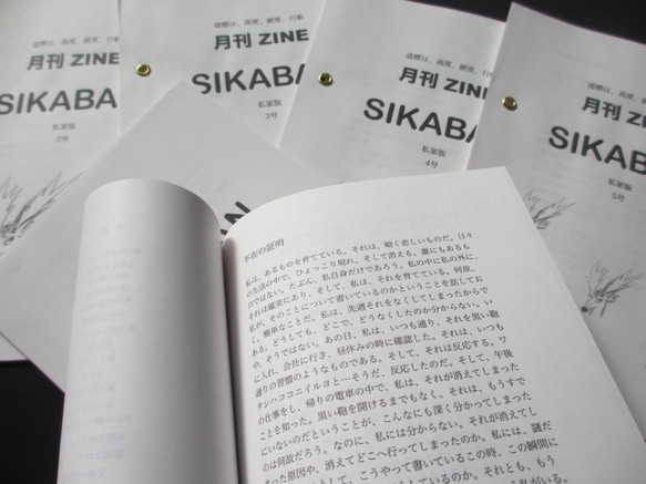 特別セット 初期海賊本2冊と月刊ZINE「SIKABAN」1号〜6号 8枚目の画像