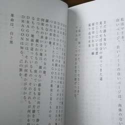 マリネの日記Ⅱ☆海賊リボン社 3枚目の画像