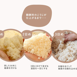 梅小路醗酵所のこうじ　白米×黄麹　300g　【オリジナルレシピ付き　腸活　美容　健康　無添加】 3枚目の画像