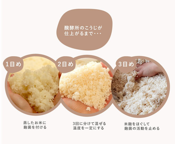 梅小路醗酵所のこうじ　白米×黄麹　300g　【オリジナルレシピ付き　腸活　美容　健康　無添加】 3枚目の画像