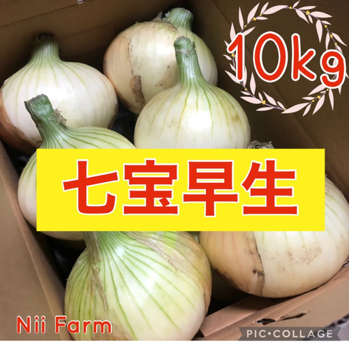 淡路島産たまねぎ】】早生品種「七宝早生7号」10kg 野菜 Nii Farm 通販
