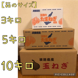 淡路島産　玉ねぎ　ターザン　３キロ　 5枚目の画像