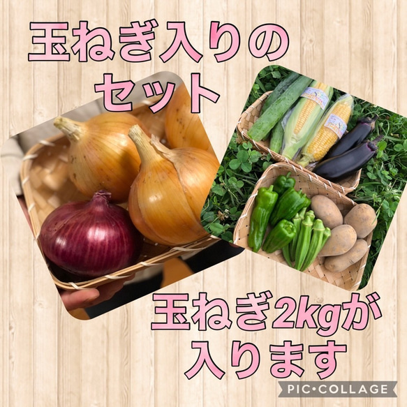 【淡路島産】野菜セット　玉ねぎ入り 4種類前後　少量サイズ  野菜の詰め合わせ 淡路島 2枚目の画像