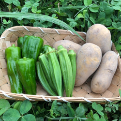 【淡路島産】野菜セット　玉ねぎ入り 4種類前後　少量サイズ  野菜の詰め合わせ 淡路島 4枚目の画像