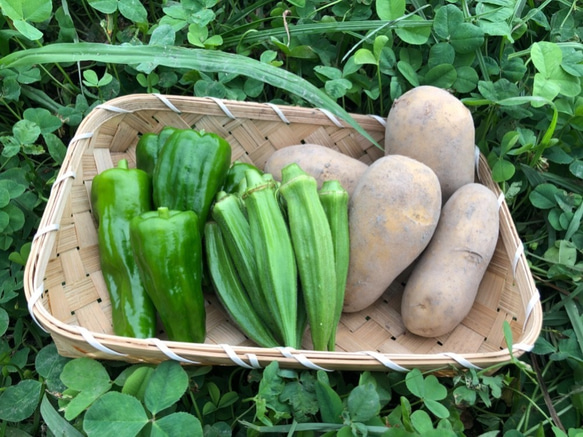 【淡路島産】野菜セット　玉ねぎ入り 4種類前後　少量サイズ  野菜の詰め合わせ 淡路島 4枚目の画像