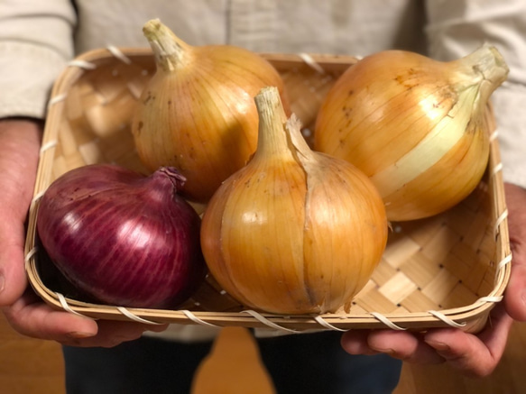 【淡路島産】野菜セット　玉ねぎ入り 4種類前後　少量サイズ  野菜の詰め合わせ 淡路島 5枚目の画像