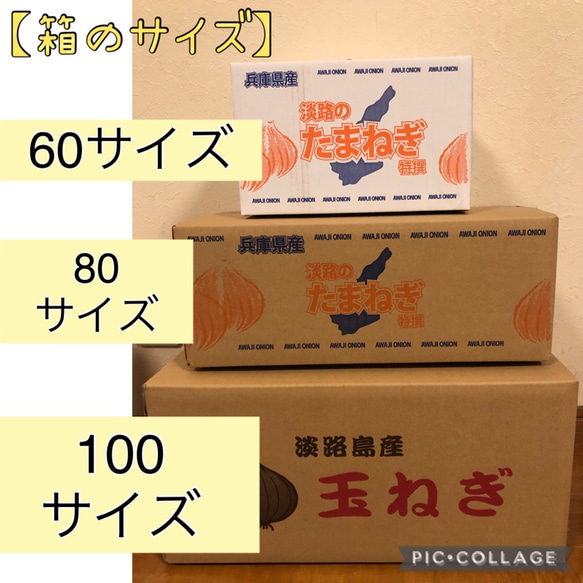 【淡路島産】野菜セット　玉ねぎ入り 4種類前後　少量サイズ  野菜の詰め合わせ 淡路島 7枚目の画像