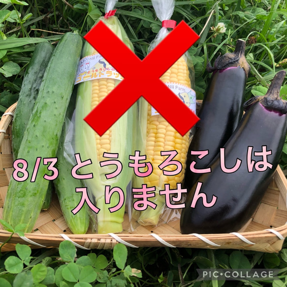 【淡路島産】野菜セット　5～7種類前後　おまかせ　 野菜の詰め合わせ　淡路島 3枚目の画像