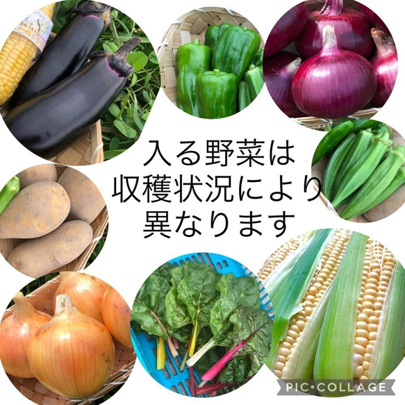【淡路島産】野菜セット　5～7種類前後　おまかせ　 野菜の詰め合わせ　淡路島 5枚目の画像