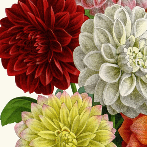 ❀花柄装丁の稀少なお歌の絵本 洋書❀アンティーク ボタニカル 児童書 ビンテージ ❀花柄装丁の稀少なお歌の絵本*洋書 アンティーク ボタニカル
