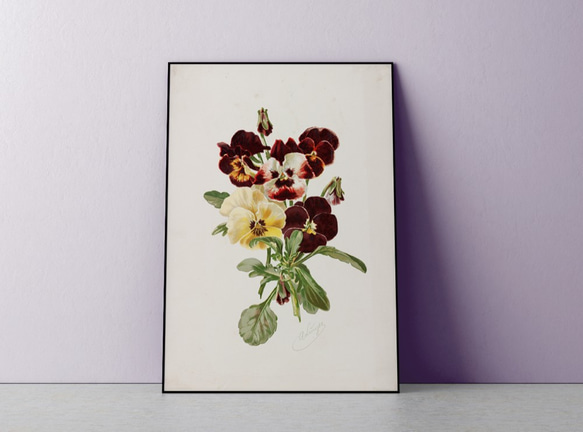 パンジーの花☆ボタニカルフラワー☆絵画インテリア