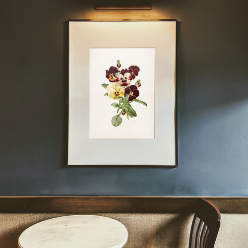 パンジーの花☆ボタニカルフラワー☆絵画インテリア☆ヴィンテージ