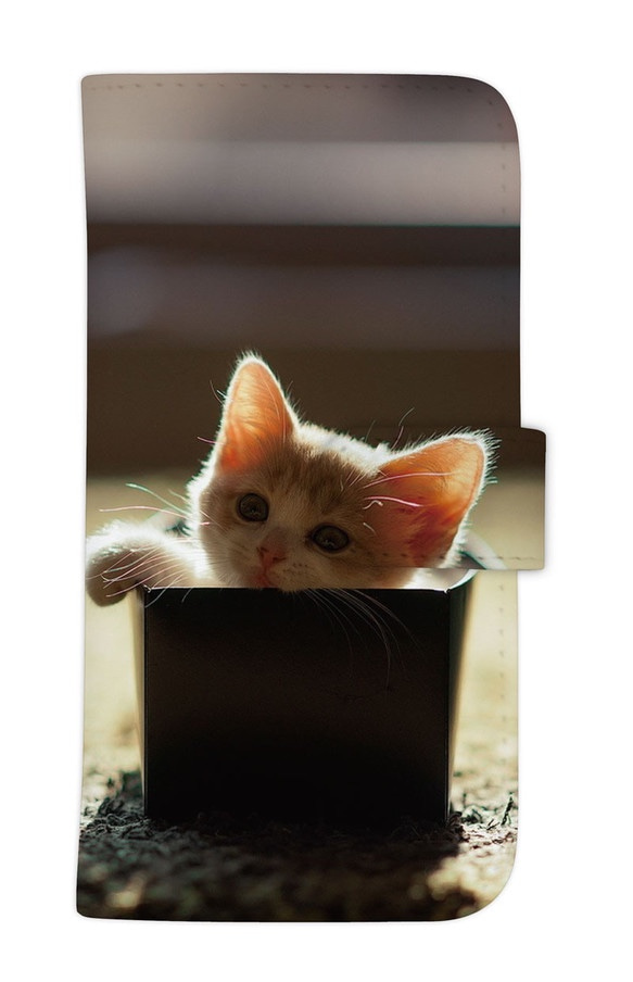 全iPhone対応 猫 CAT 子猫 手帳型 手帳ケース 1枚目の画像